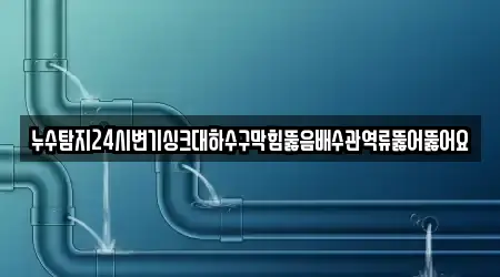 누수탐지24시변기싱크대하수구막힘뚫음배수관역류뚫어뚫어요