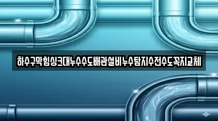 하수구막힘싱크대누수수도배관설비누수탐지수전수도꼭지교체
