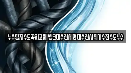누수탐지수도꼭지교체씽크대수전세면대수전샤워기수전수도누수