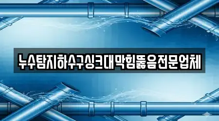누수탐지하수구싱크대막힘뚫음전문업체
