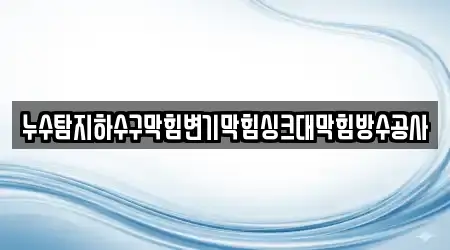 누수탐지하수구막힘변기막힘싱크대막힘방수공사