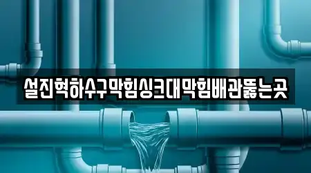 설진혁하수구막힘싱크대막힘배관뚫는곳