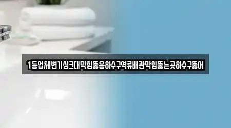 1등업체변기싱크대막힘뚫음하수구역류배관막힘뚫는곳하수구뚫어