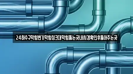 24하수구막힘변기막힘싱크대막힘뚫는곳내시경확인후뚫어주는곳
