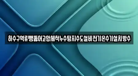 하수구역류뻥뚫어고압세척누수탐지수도설비전기온수기설치방수
