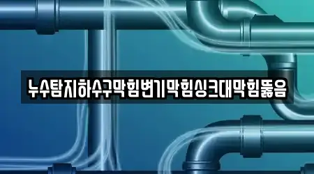 경남 김해시 삼방동 변기막힘 상세 정보 4건