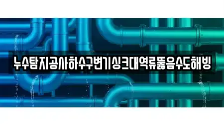누수탐지공사하수구변기싱크대역류뚫음수도해빙