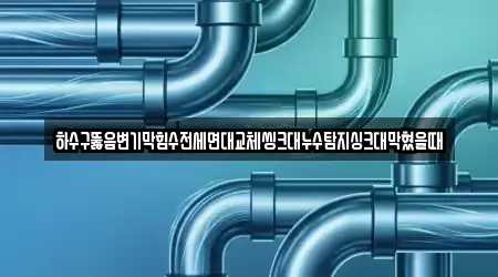하수구뚫음변기막힘수전세면대교체씽크대누수탐지싱크대막혔을때
