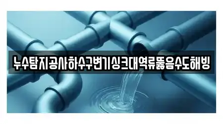 누수탐지공사하수구변기싱크대역류뚫음수도해빙