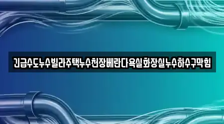 긴급수도누수빌라주택누수천장베란다욕실화장실누수하수구막힘