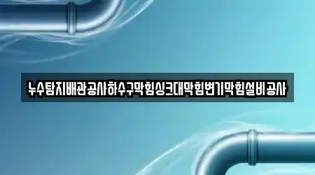 누수탐지배관공사하수구막힘싱크대막힘변기막힘설비공사