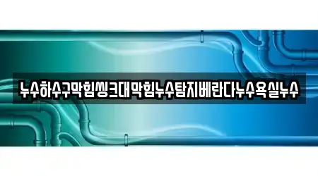 누수하수구막힘씽크대막힘누수탐지베란다누수욕실누수