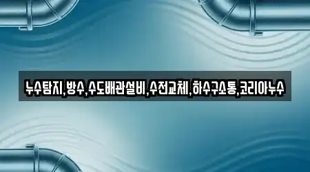 누수탐지,방수,수도배관설비,수전교체,하수구소통,코리아누수