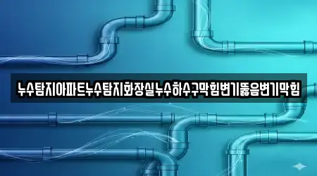 누수탐지아파트누수탐지화장실누수하수구막힘변기뚫음변기막힘