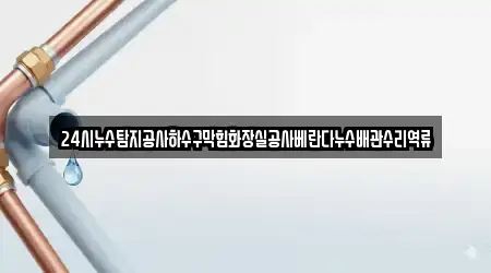 24시누수탐지공사하수구막힘화장실공사베란다누수배관수리역류