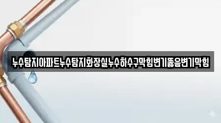 누수탐지아파트누수탐지화장실누수하수구막힘변기뚫음변기막힘