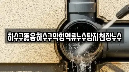경북 영양군 수비면의 하수구 뚫음 업체 2곳 위치