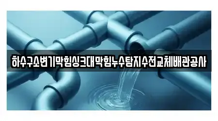 하수구소변기막힘싱크대막힘누수탐지수전교체배관공사