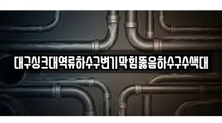대구싱크대역류하수구변기막힘뚫음하수구수색대