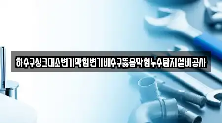 하수구싱크대소변기막힘변기배수구뚫음막힘누수탐지설비공사