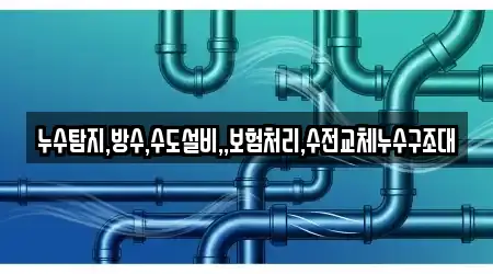 누수탐지,방수,수도설비,,보험처리,수전교체누수구조대