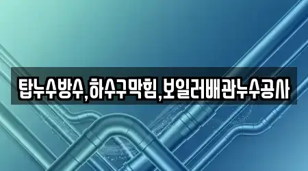 탑누수방수,하수구막힘,보일러배관누수공사