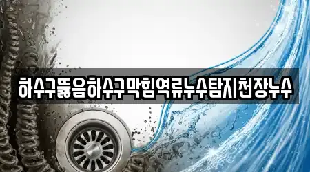 하수구뚫음하수구막힘역류누수탐지천장누수