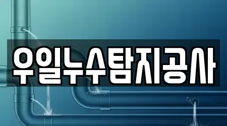 우일누수탐지공사