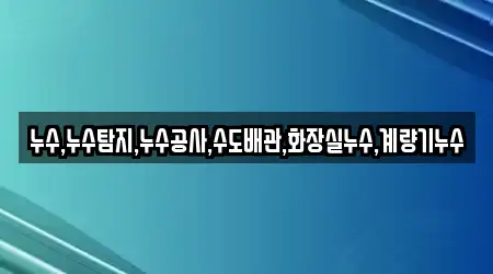 누수,누수탐지,누수공사,수도배관,화장실누수,계량기누수