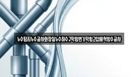 누수탐지누수공사화장실누수하수구막힘변기막힘고압세척방수공사