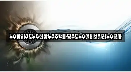 누수탐지수도누수천장누수주택마당수도누수설비보일러누수공사
