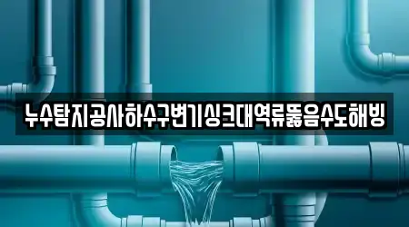 누수탐지공사하수구변기싱크대역류뚫음수도해빙