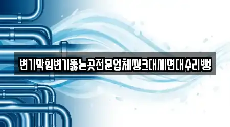 변기막힘변기뚫는곳전문업체씽크대세면대수리뻥