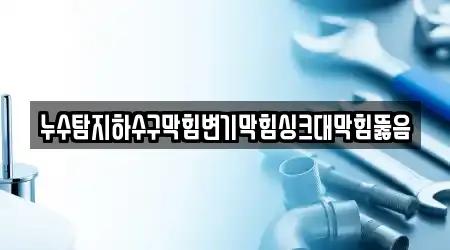누수탐지하수구막힘변기막힘싱크대막힘뚫음
