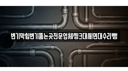 변기막힘변기뚫는곳전문업체씽크대세면대수리뻥