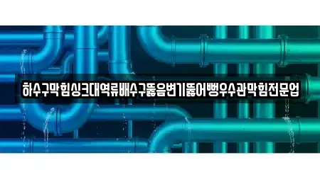 하수구막힘싱크대역류배수구뚫음변기뚫어뻥우수관막힘전문업