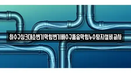 하수구싱크대소변기막힘변기배수구뚫음막힘누수탐지설비공사