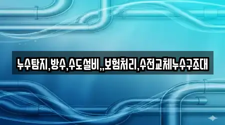 경상북도 경산시 대정동 누수 13곳 위치·지도