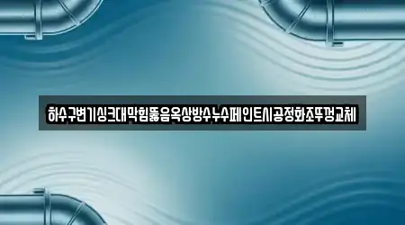 하수구변기싱크대막힘뚫음옥상방수누수페인트시공정화조뚜껑교체