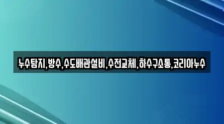 누수탐지,방수,수도배관설비,수전교체,하수구소통,코리아누수