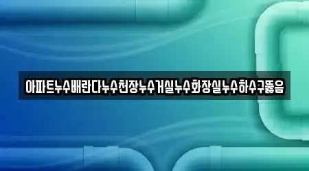 아파트누수배란다누수천장누수거실누수화장실누수하수구뚫음