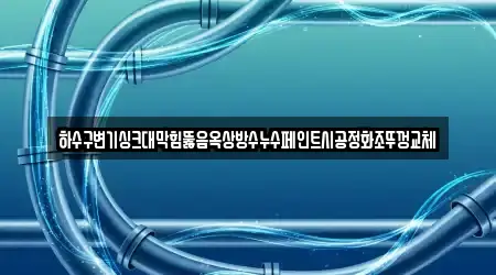 하수구변기싱크대막힘뚫음옥상방수누수페인트시공정화조뚜껑교체