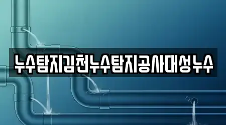 누수탐지김천누수탐지공사대성누수