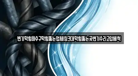변기막힘하수구막힘뚫는업체싱크대막힘뚫는곳변기수리고압세척