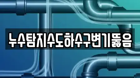 누수탐지수도하수구변기뚫음