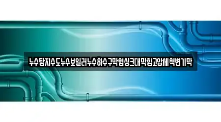 누수탐지수도누수보일러누수하수구막힘싱크대막힘고압세척변기막