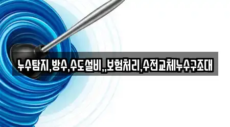 누수탐지,방수,수도설비,,보험처리,수전교체누수구조대