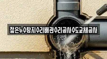 젊은누수탐지수리배관수리공사수도교체공사
