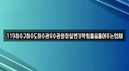 119하수구하수도하수관우수관화장실변기막힘뚫음뚫어주는업체