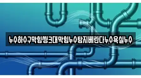 누수하수구막힘씽크대막힘누수탐지베란다누수욕실누수